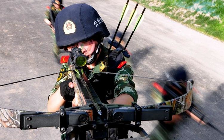 95式步枪只要5000元，为何弓弩要卖6万？老兵告诉你答案