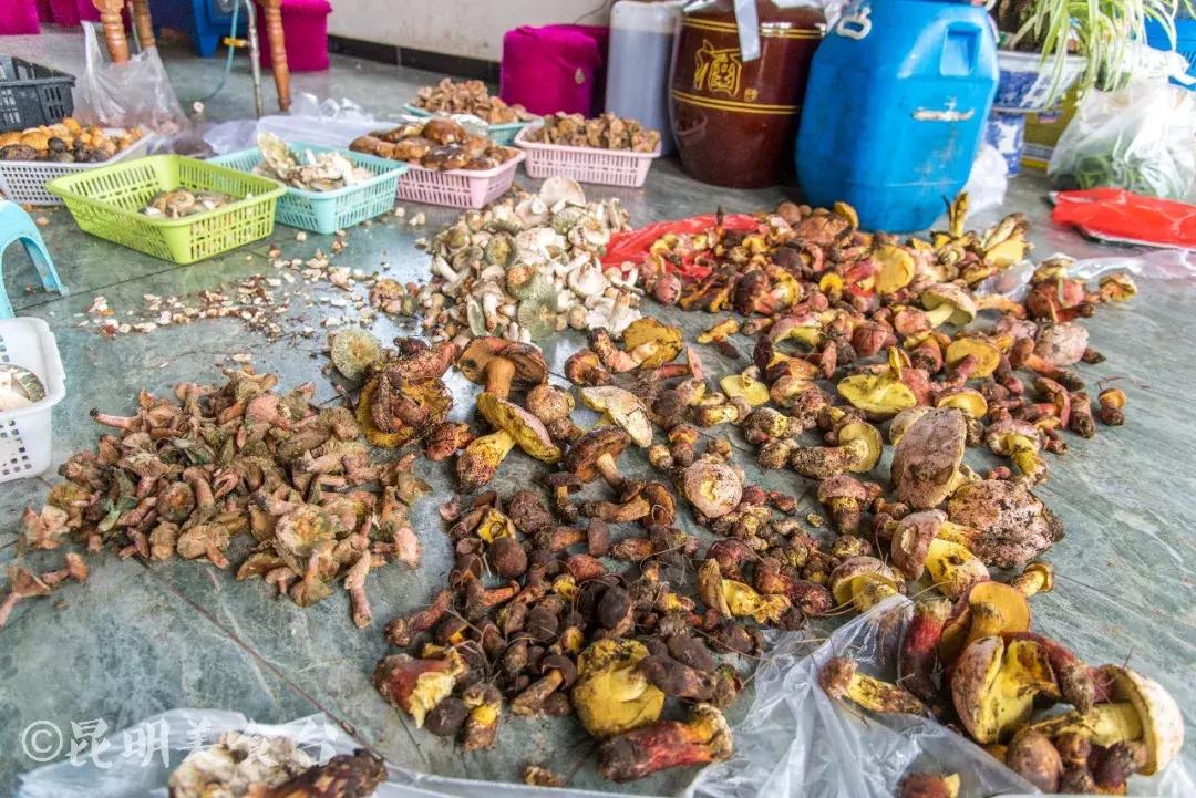 昆明野生菌苍蝇馆子,昆明比较高端的野生菌餐厅