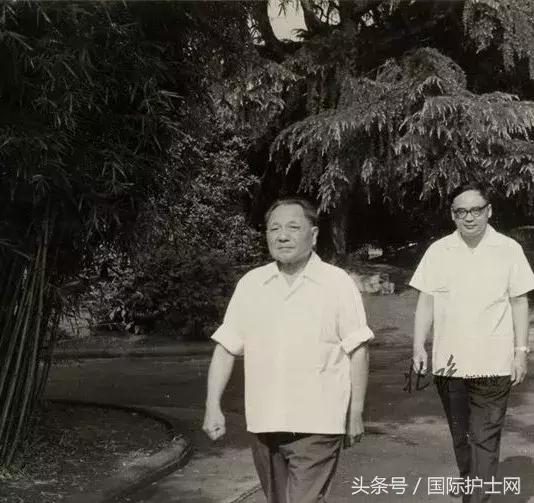 解放军301医院属于什么级别医院,301医院是最权威的的医院吗