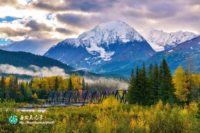 百万网红的浏览量,百万个网红打卡