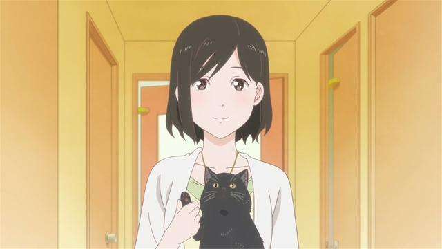 动漫中的猫咪都有哪些,盘点各种动漫猫咪