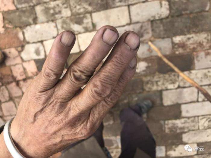 津云调查最新一期视频,津云调查