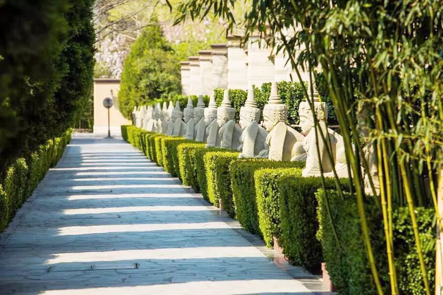 北京春晖园,北京春晖园随园