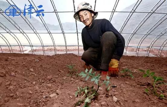 *藏西**昌都建起“天津新村”,吃上“天津菜”!