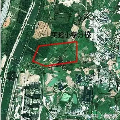 福清观溪一中新校区,福清一中平面图