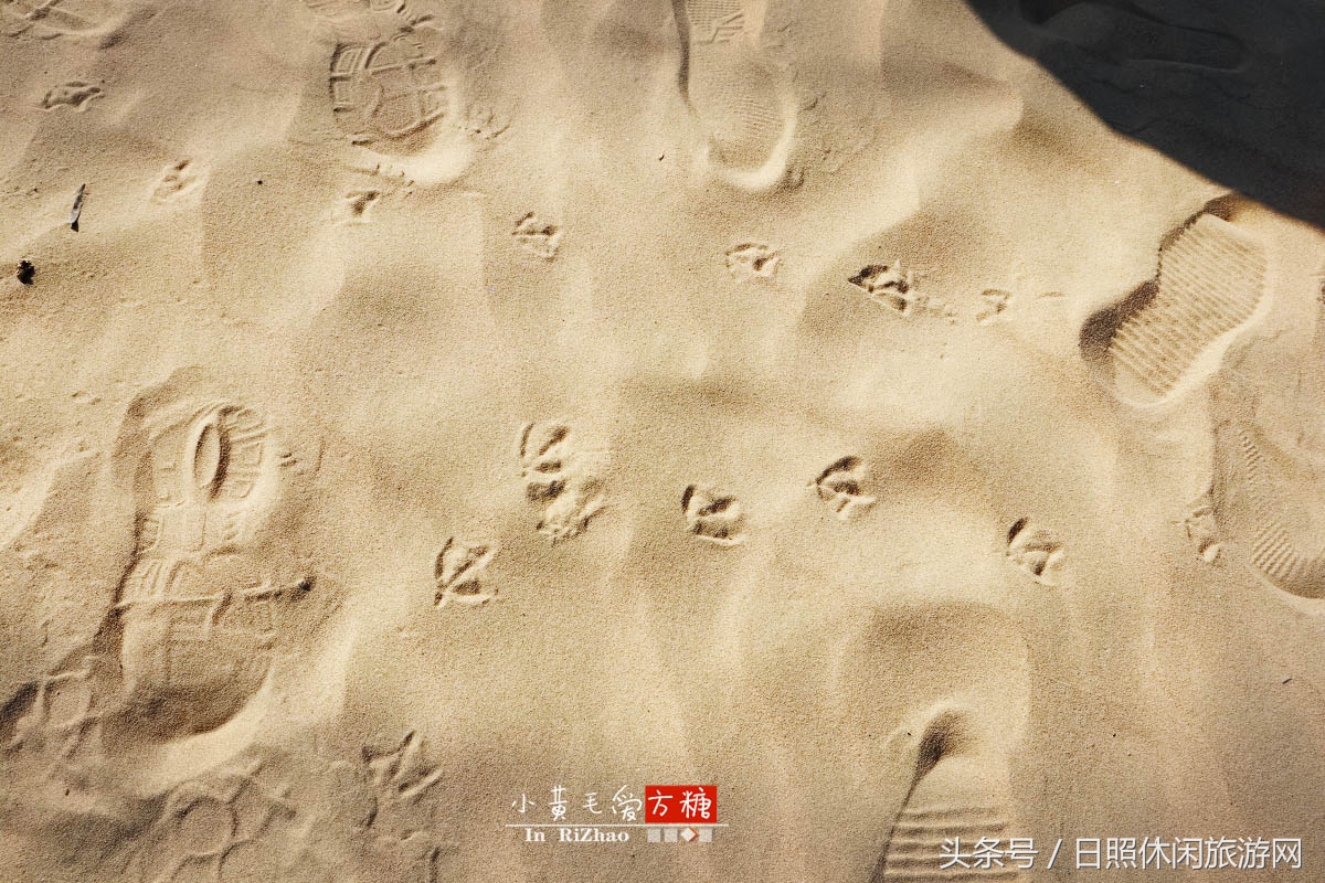 日照浴场海鲜攻略,日照海滨浴场旅游攻略