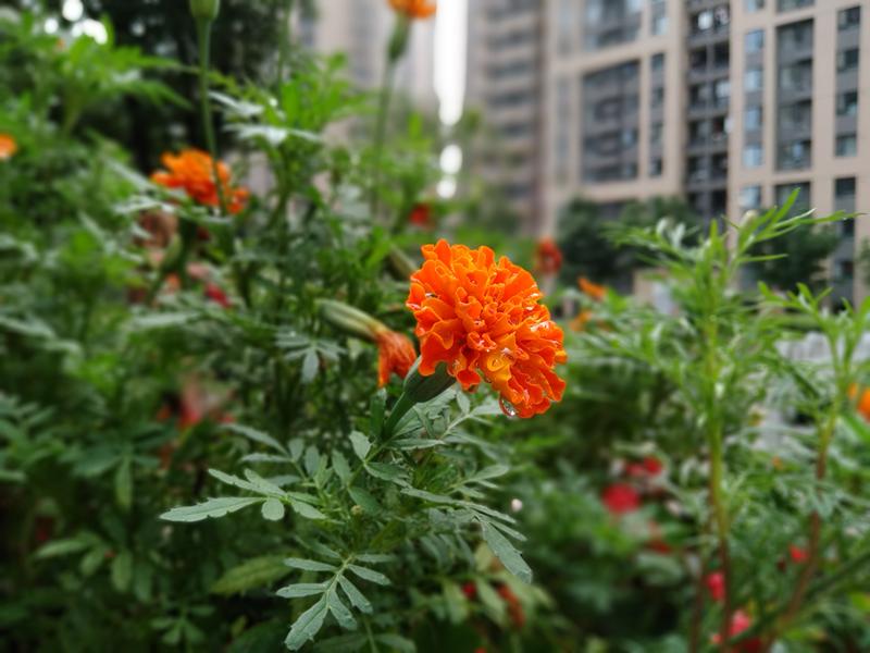 暑假旅行必带神器,暑假出游必备品便携式神器