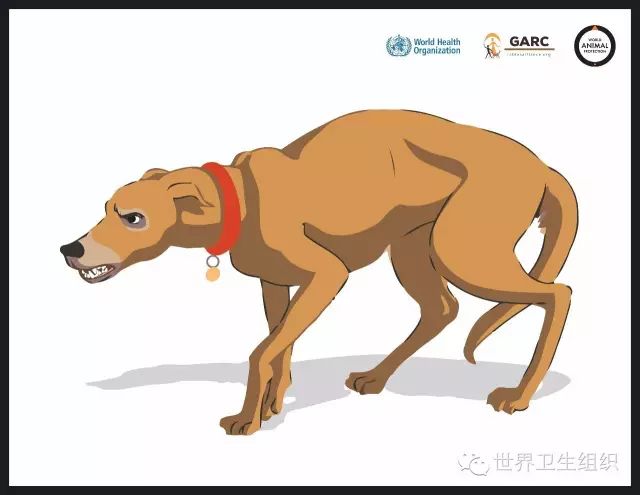 可怕！半岁宝宝被大狗叼走，头骨被咬穿，需做开颅手术！避免被狗咬应该这么做……