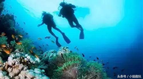 马尔代夫水清沙白,东莞绝美海岛