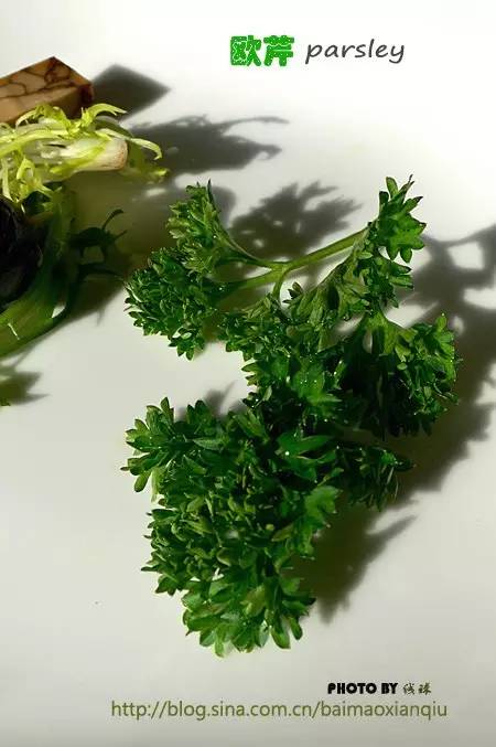 香草的10种吃法,西厨必备的十种香草