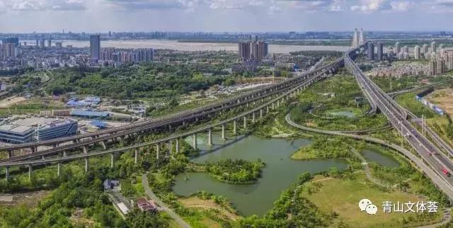 戴家湖附近足球场,戴家湖公园足球场免费吗