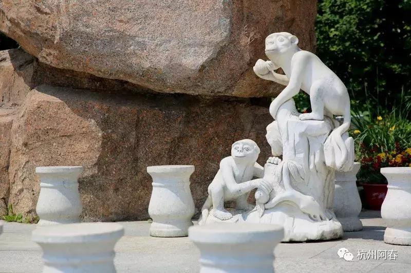 神游生态馆,抚顺新宾猴石森林公园天气预报