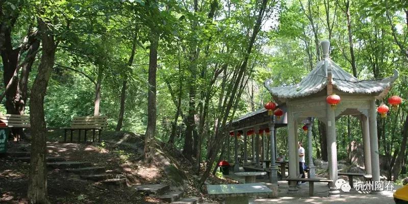 神游生态馆,抚顺新宾猴石森林公园天气预报