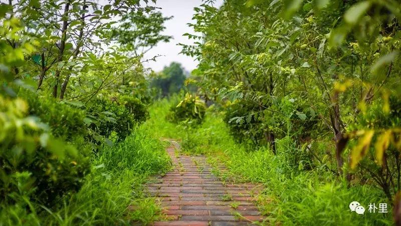 这个韩国欧巴11年前来西安，盖农场当农夫，还娶主播做媳妇儿