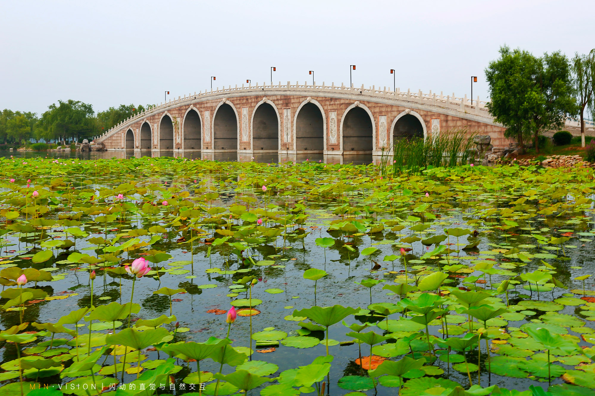 唐山南湖公园美景图片,唐山南湖震撼视频