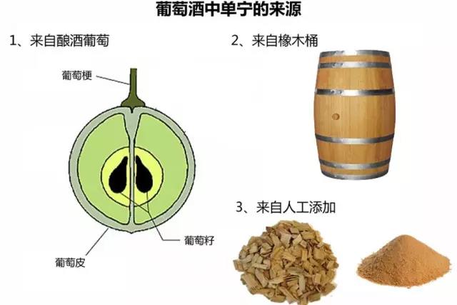 轻松学会十条红酒小知识（最详细的十条问答红酒知识）