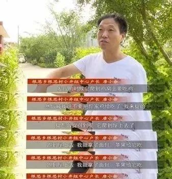 泰兴根思突然冒出一个奇怪动物，上窜下跳的，竟然闹腾了整个村！