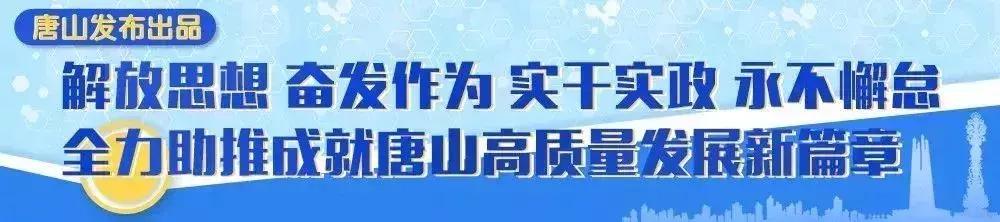 坐公交车不用手机怎么支付,坐公交可以不用乘车码