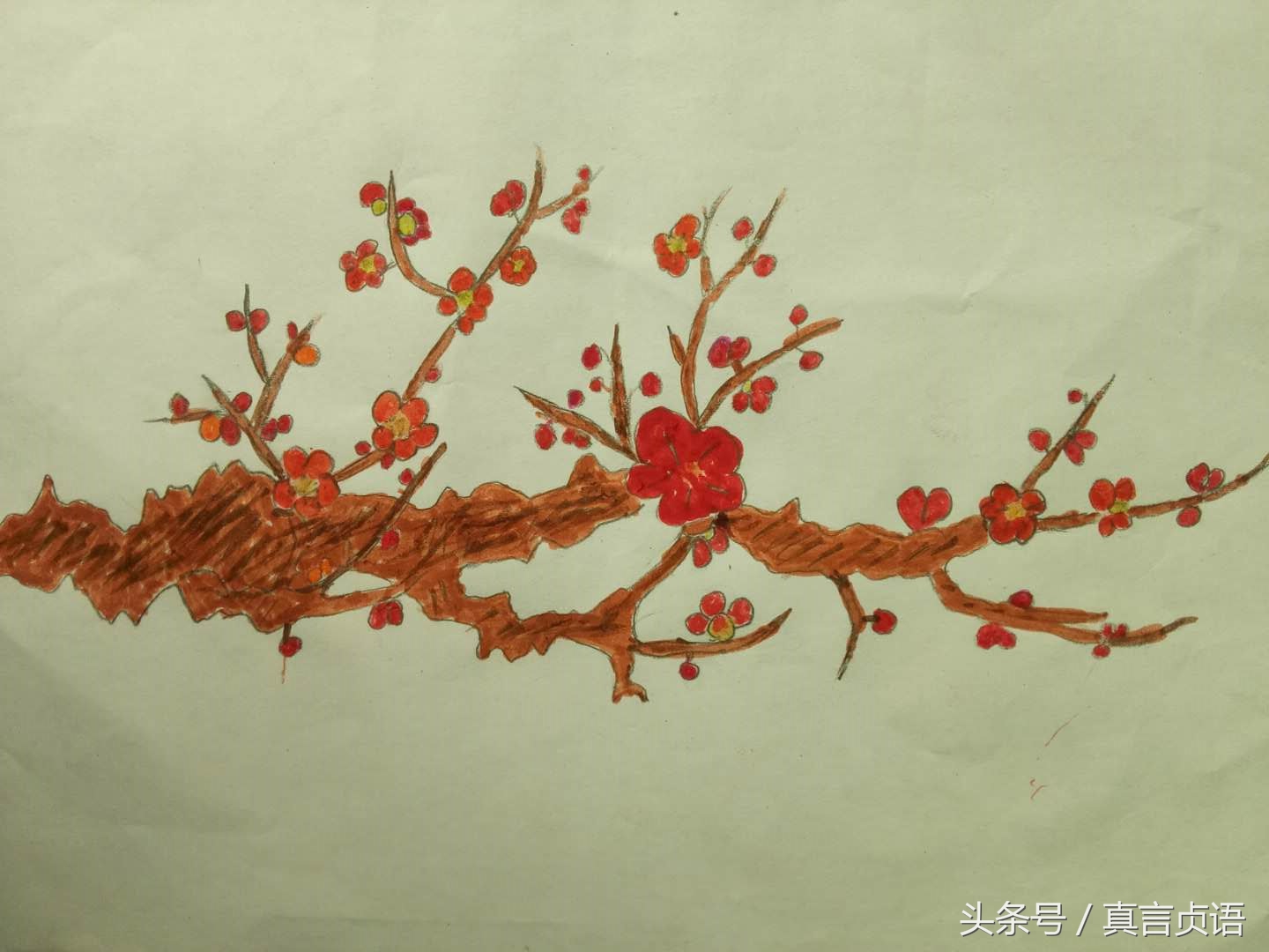 曾凯歌原创诗歌散文：傲梅