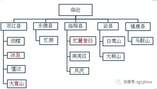 喝了好多年的普洱茶,喝了三年的普洱茶