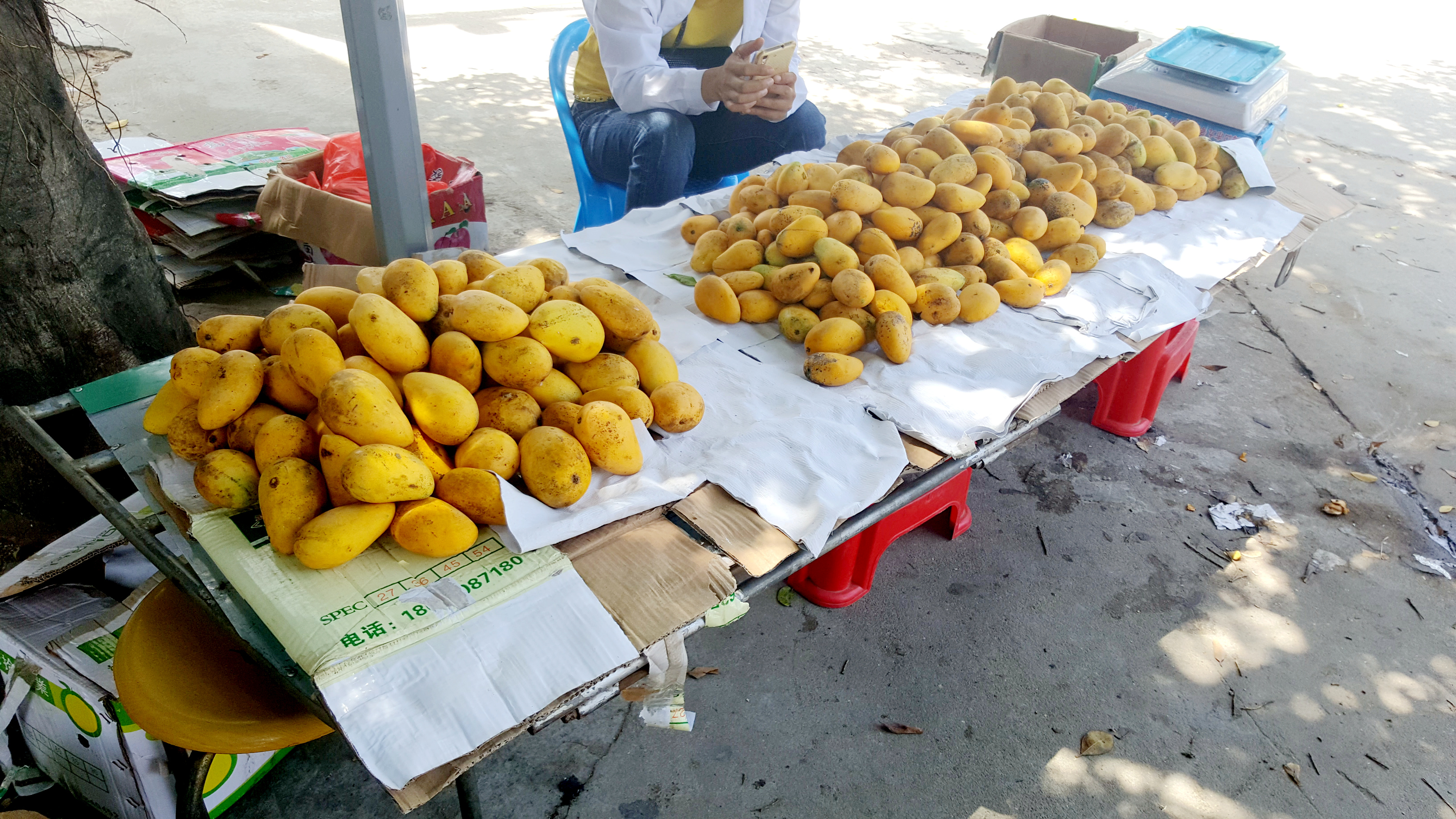 中国沿海旅行D14,金沙湾,遇见优雅女子就是人生最美好时刻