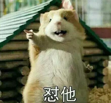 ps4新手入坑指南,关于入坑ps4的小白教程