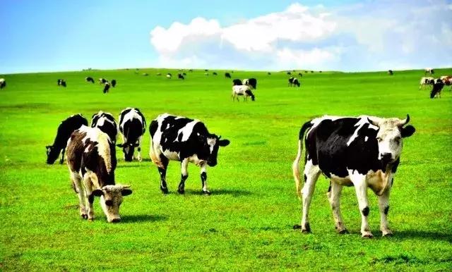 爱他美贝拉米和a2哪种奶粉好,贝拉米和澳洲爱他美奶粉哪个好