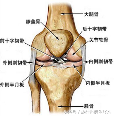 膝关节疼照x光片有用吗,膝关节疼痛x光片能看出来吗