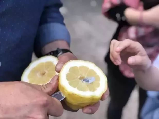 没有进世界杯的欧洲,没进世界杯的中国足球