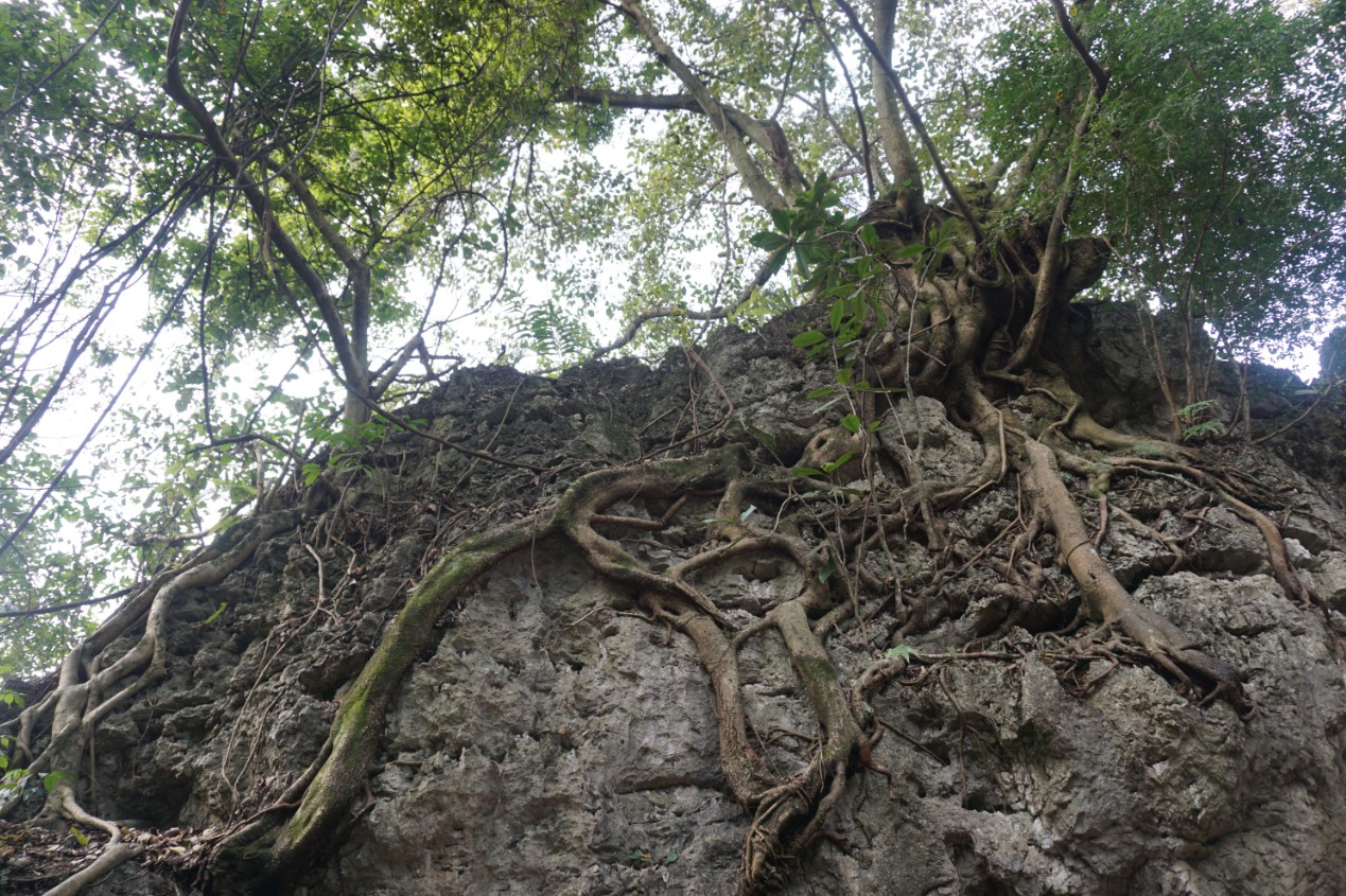 多彩贵州行——黄果树风景区之灵魂玲珑秀美“天星桥”