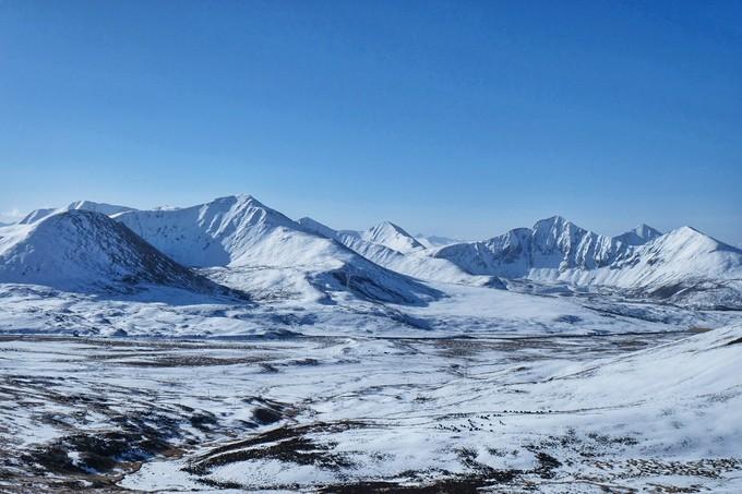 *藏西**，我历经十里桃花劫，只为寻心之所往