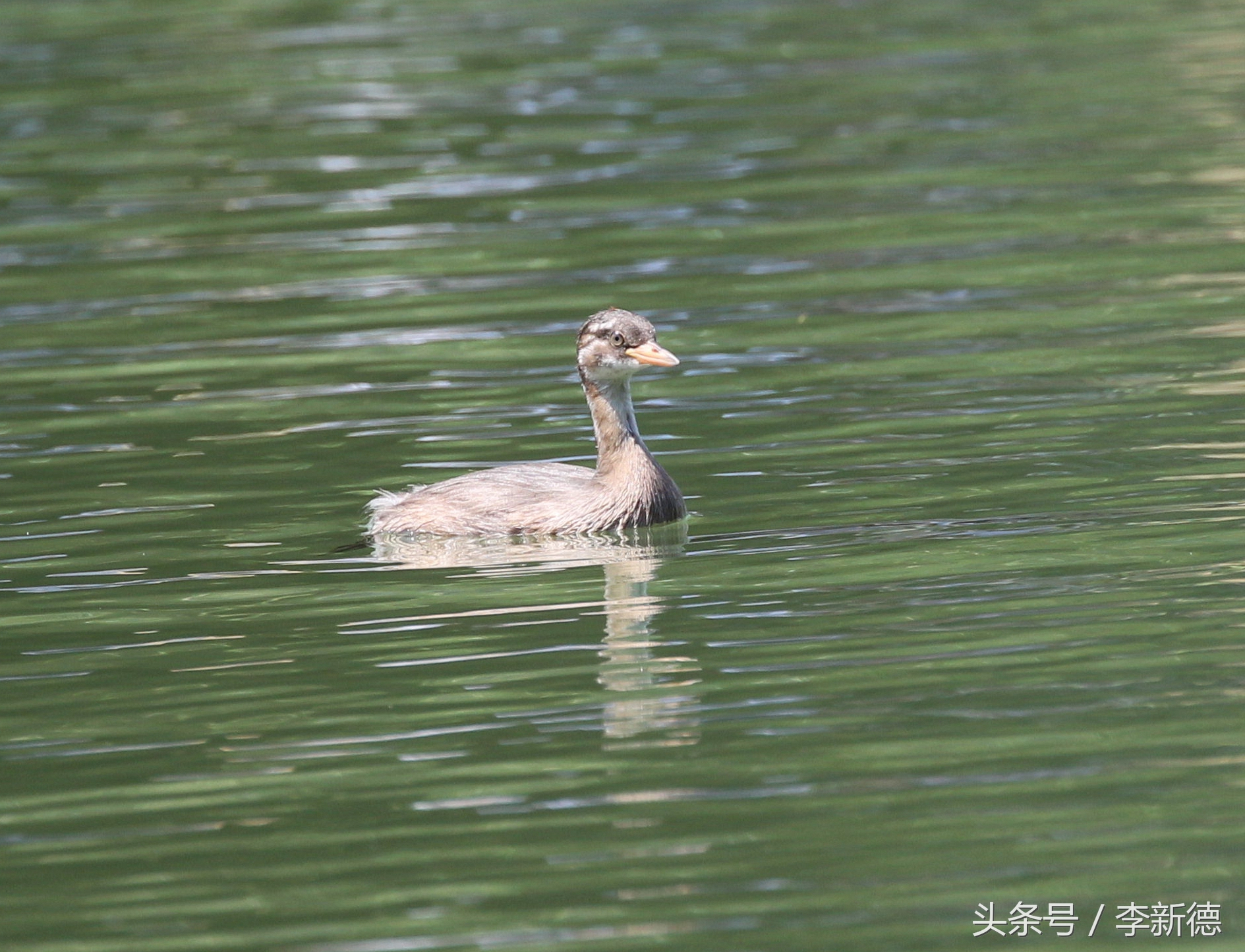 佳能5d3配24105镜头拍人像,佳能5d3501.8镜头拍合照