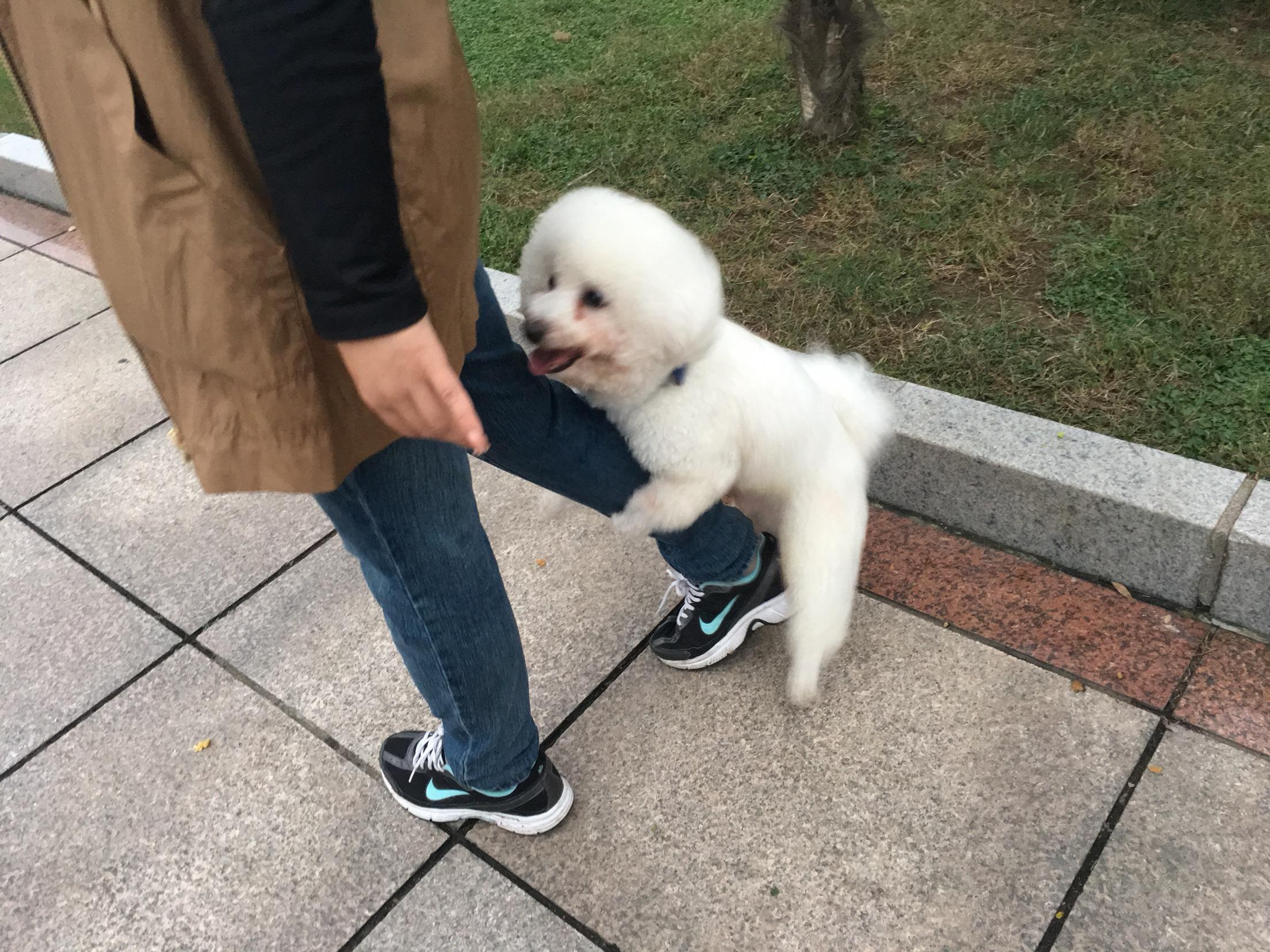 生化实验里面的动物,生化注射器注入动物的身体里