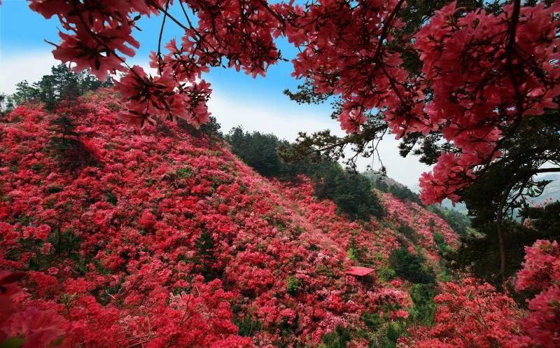 武汉暑假免费夏令营水上,暑假夏令营武汉市