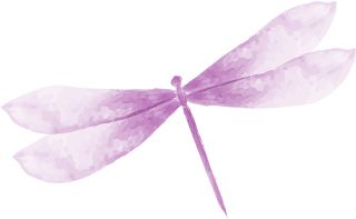 把你最好的东西给这个世界原版,把你最好的东西给这个世界完整版