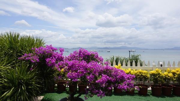 一个人的旅行由风决定,一个人的旅行头像