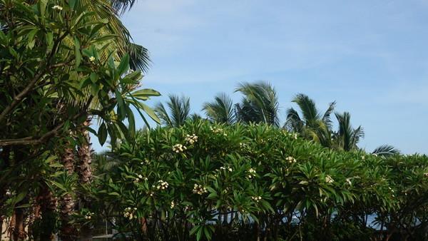 一个人的旅行由风决定,一个人的旅行头像