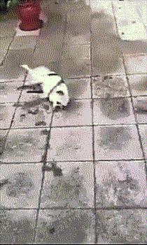 内马尔到底是被针对还是假摔,内马尔坏不坏