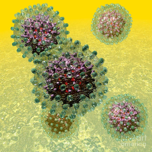 慢性乙型肝炎用中草药配方,乙型肝炎吃中药可以治好吗