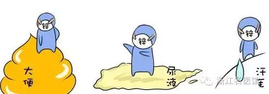 20、30、40、50岁,你的新陈代谢变慢了怎么办?这些习惯要改改