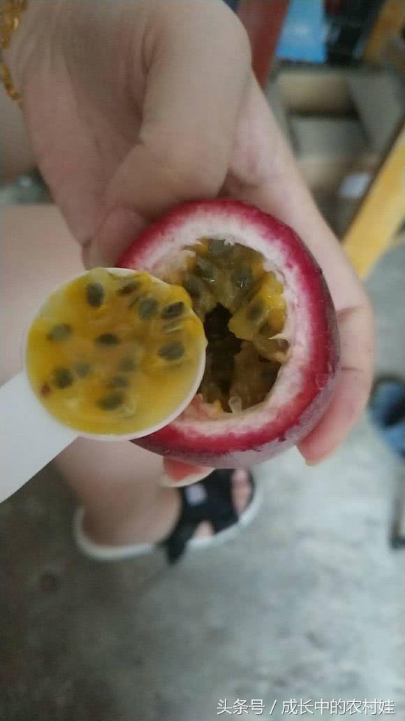 百香果里含什么营养的东西,百香果营养素