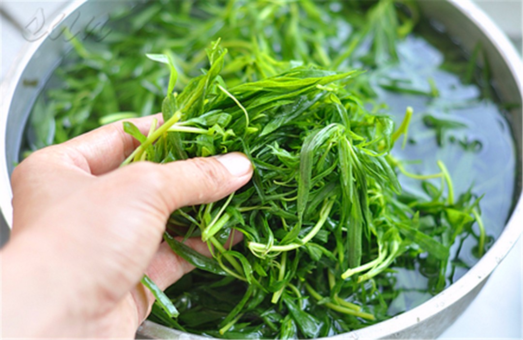 乡下搞野菜做蒿子粑粑,农村有哪些野菜可以做美食