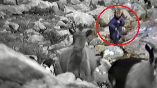 魔笛莫德里奇有几个欧冠,魔笛莫德里奇为啥是世界第一中场