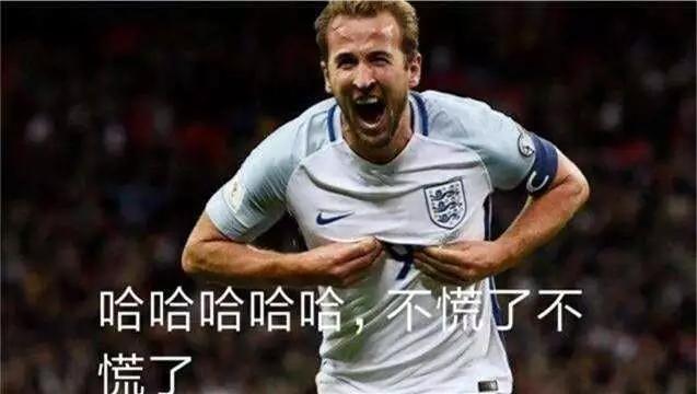 关于世界杯搞笑段子图片,世界杯十大搞笑段子