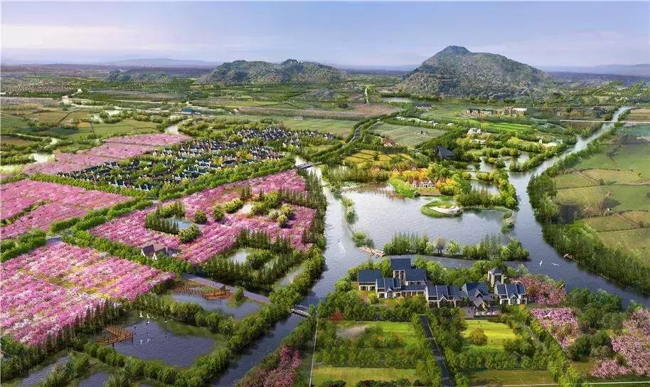 田园东方赚钱吗,田园东方的成功之处