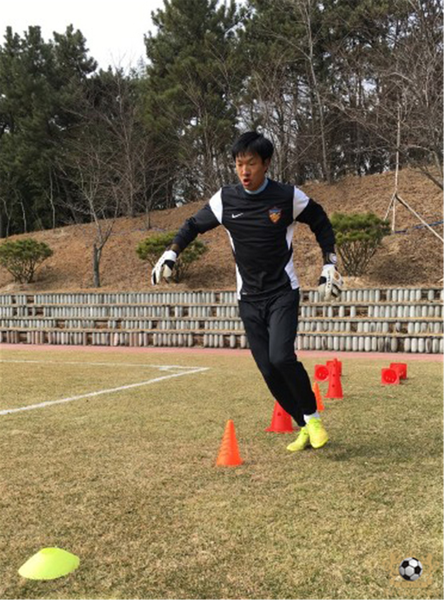 津门足坛双百颂陈金刚,津门足坛双百颂书籍