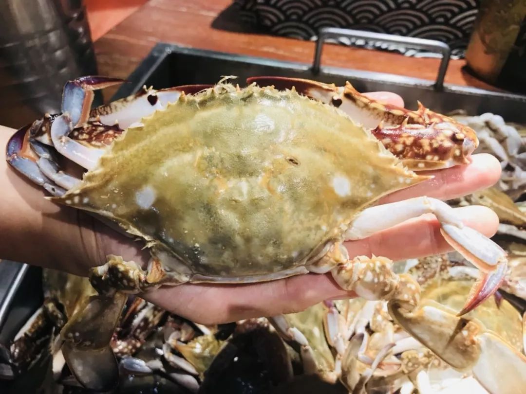 各种海鲜不限量,50种不限量海鲜