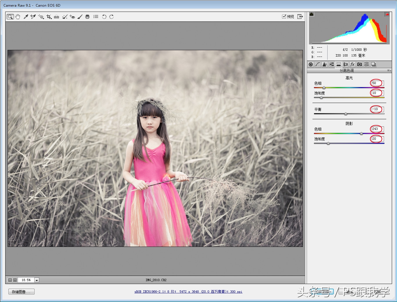 camera照片调色教程,如何用PS2018调整照片色彩