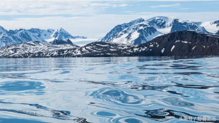 世界上最值得去的秘境,世界上南端的一处秘境