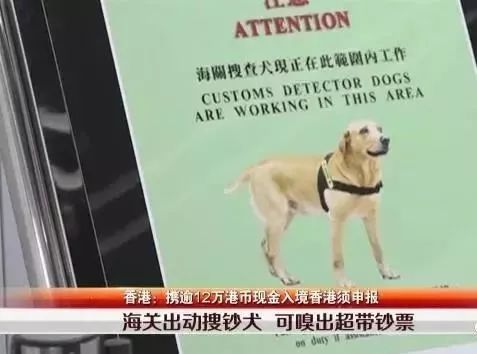 广东人去香港注意了！下周起过关这样做，最高罚款50万！